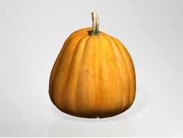 Sugar Pumpkin 3d preview