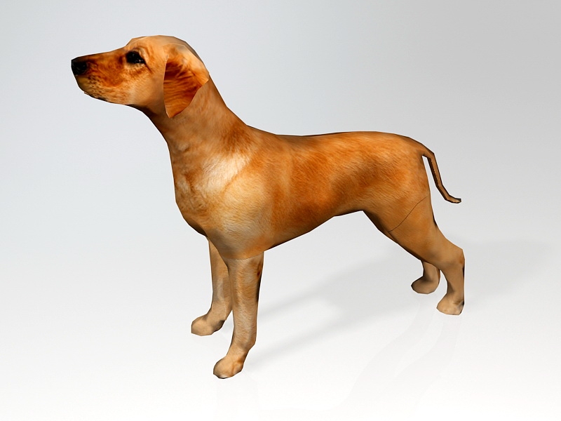 Ridgeback Puppy 3d rendering