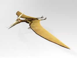 Pterosaur Flying Dinosaur 3d model preview