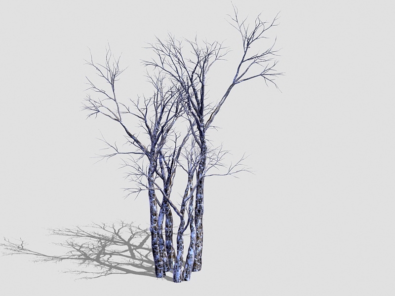 Winter Withered Trees 3d rendering