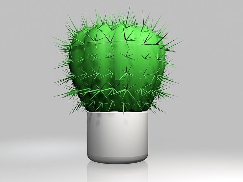 Potted Ball Cactus 3d rendering
