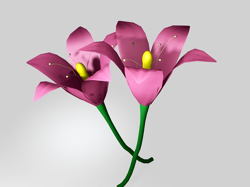 Pink Tiger Lily Flowers 3d rendering