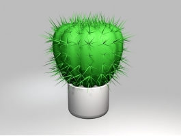 Potted Ball Cactus 3d preview