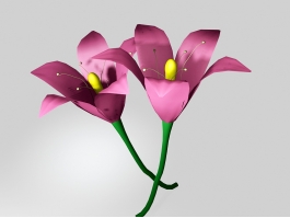 Pink Tiger Lily Flowers 3d preview