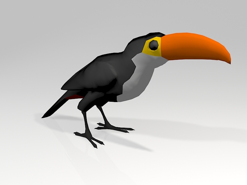 Toucan Parrot 3d rendering