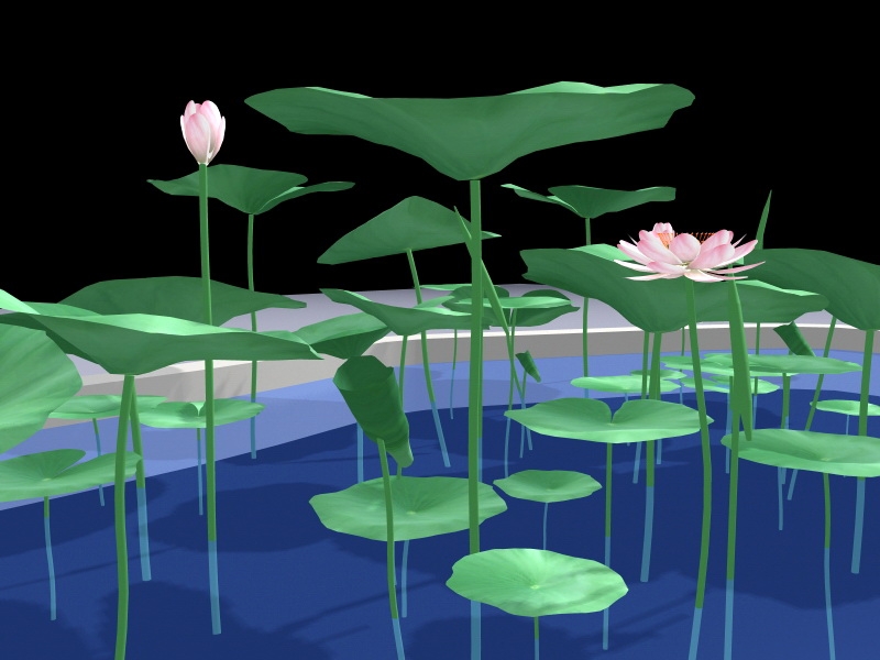 Small Lotus Pond 3d rendering