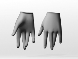 Female Hand 3d model preview