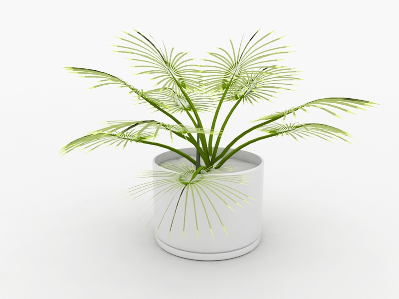Palm Potted Plant 3d rendering