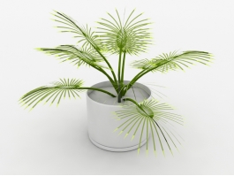 Palm Potted Plant 3d preview
