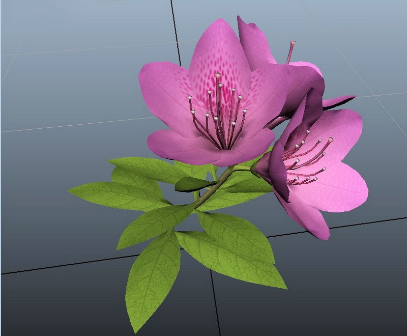 Pink Azalea Flower 3d rendering