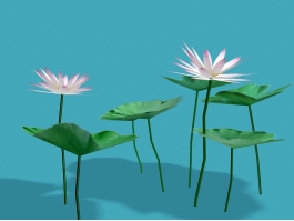 Egyptian Lotus Flowers 3d model preview