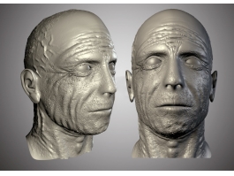 Old Man Head 3d preview