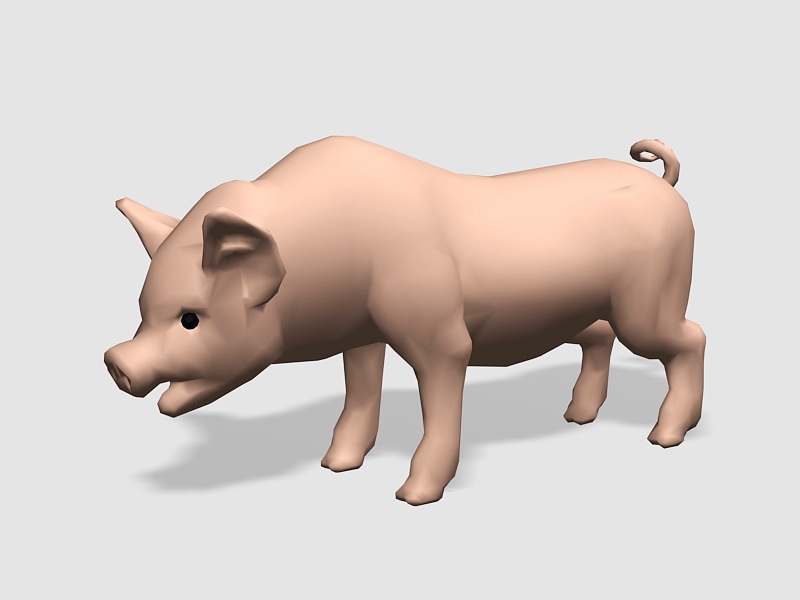 Cute Pig 3d rendering