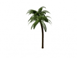 Coconut Palm Tree 3d preview