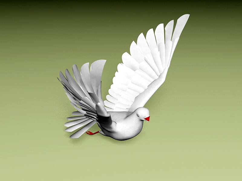 Animated Flying Pigeon Rig 3d rendering