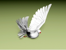 Animated Flying Pigeon Rig 3d model preview