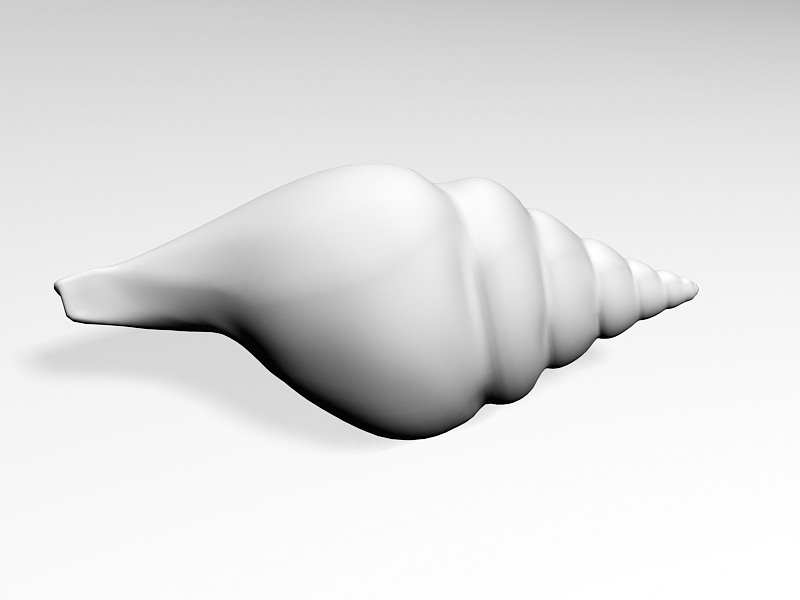Banded Tulip Shell 3d rendering