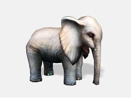 Baby Elephant Low Poly 3d model preview