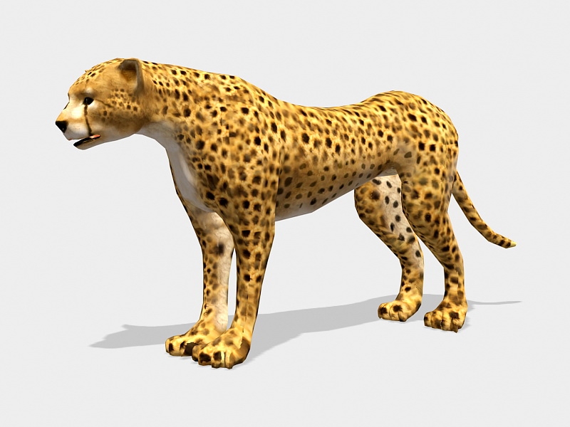 Cheetah Leopard 3d rendering