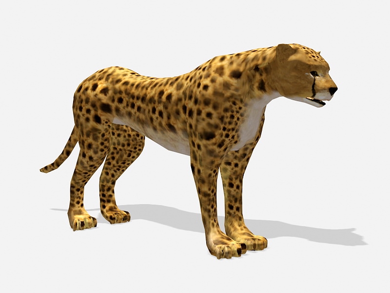 Cheetah Leopard 3d rendering