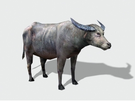 Low Poly Water Buffalo 3d model preview