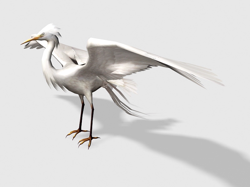 Great Egret Bird 3d rendering