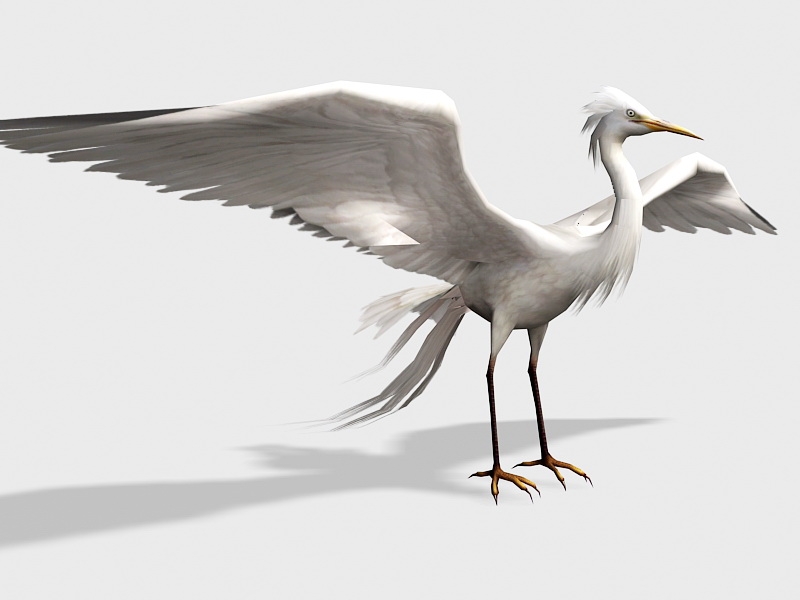 Great Egret Bird 3d rendering