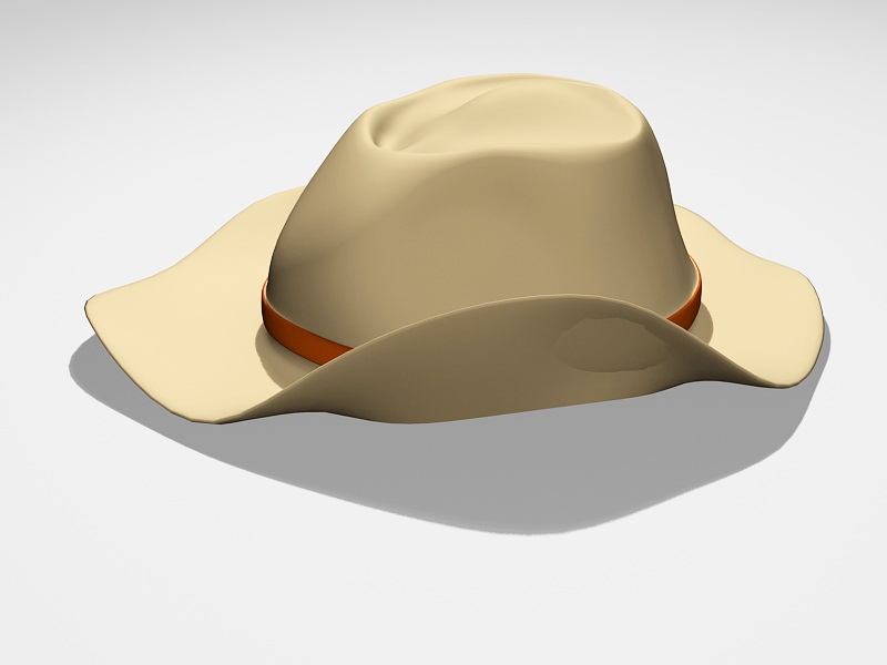 Men's Cowboy Hat 3d rendering