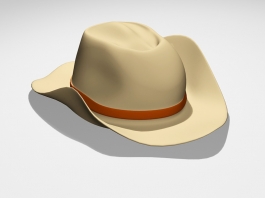 Men's Cowboy Hat 3d model preview