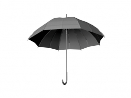 Black Umbrella 3d preview