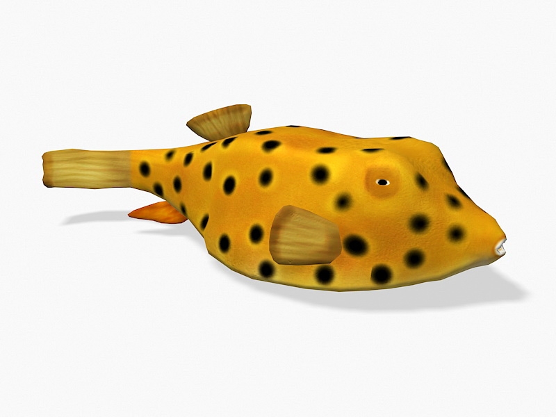 Animated Yellow Boxfish 3d rendering