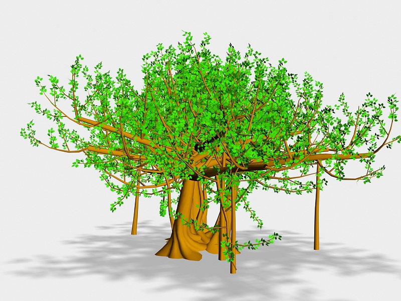 Cartoon Banyan Tree 3d model - CadNav