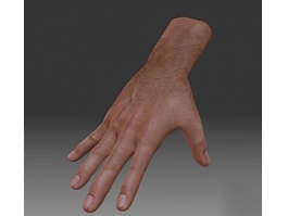 Men's Hand 3d preview