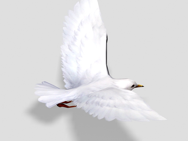 White Sea Bird 3d rendering