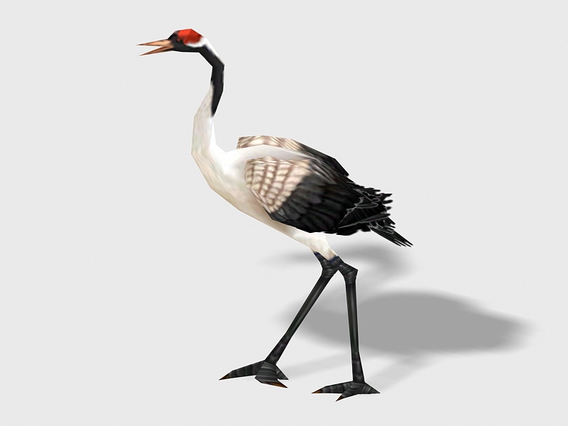 Red-crowned Crane Bird 3d rendering