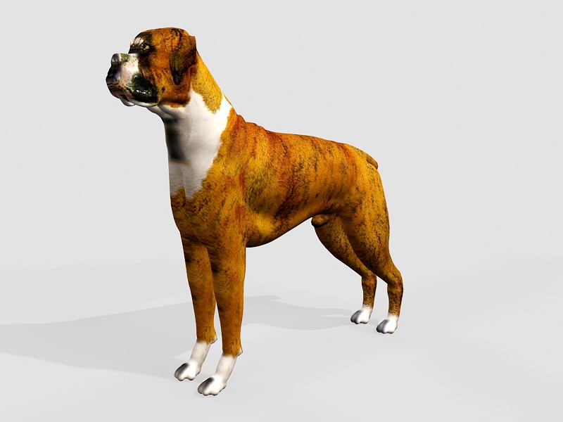 Giant Boxer Dog 3d rendering