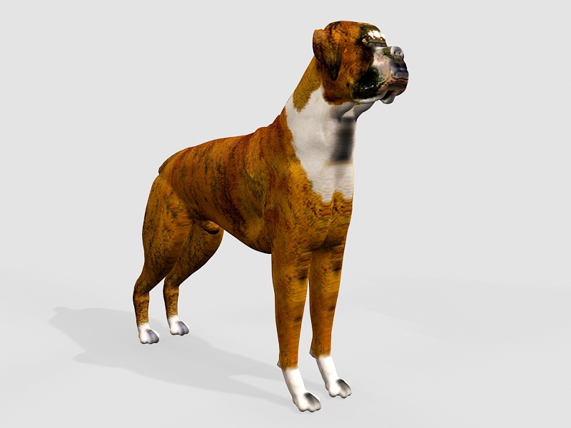 Giant Boxer Dog 3d rendering