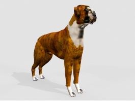 Giant Boxer Dog 3d model preview