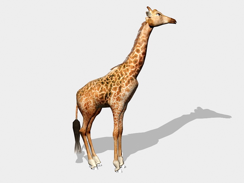Beautiful Giraffe 3d rendering