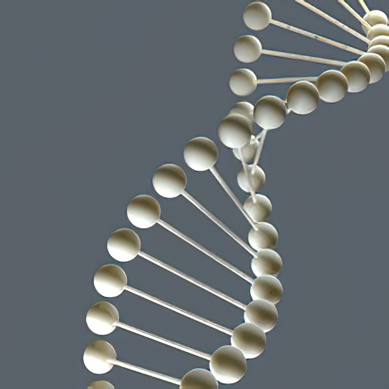 DNA Molecular Structure 3d rendering