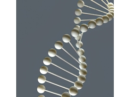 DNA Molecular Structure 3d model preview