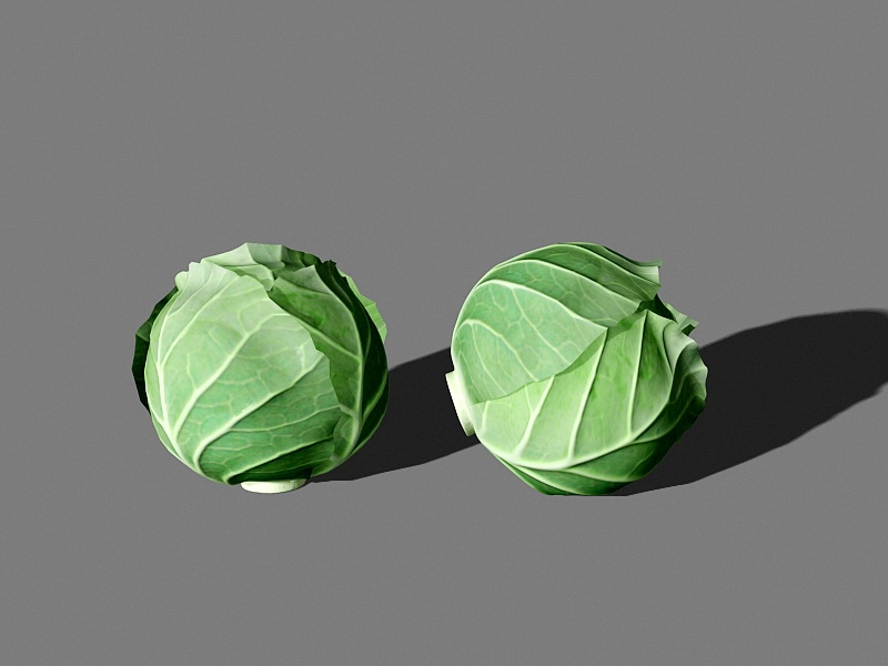 Cabbage Head 3d rendering