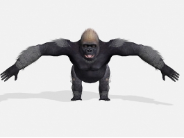 Muscular Gorilla 3d preview