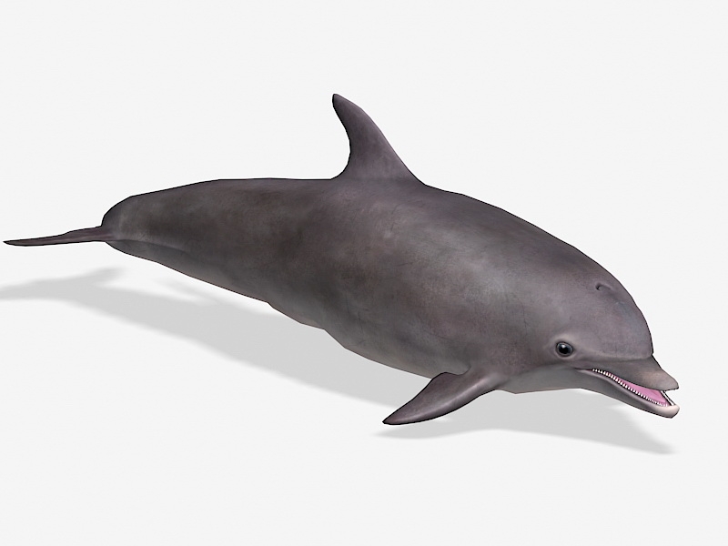 Smiling Dolphin 3d rendering