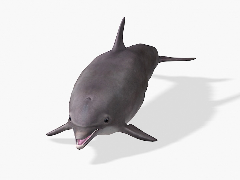 Smiling Dolphin 3d rendering