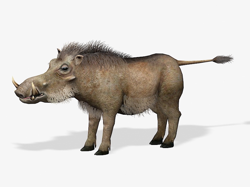 Common Warthog 3d rendering
