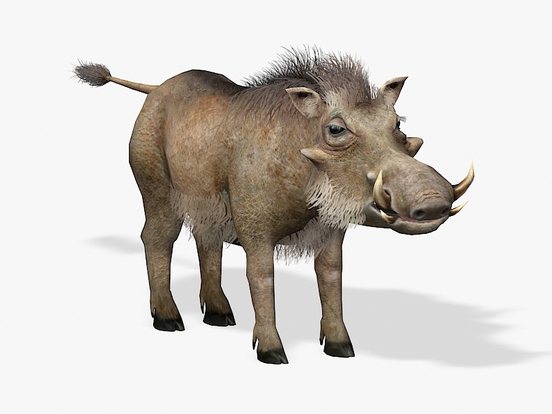 Common Warthog 3d rendering