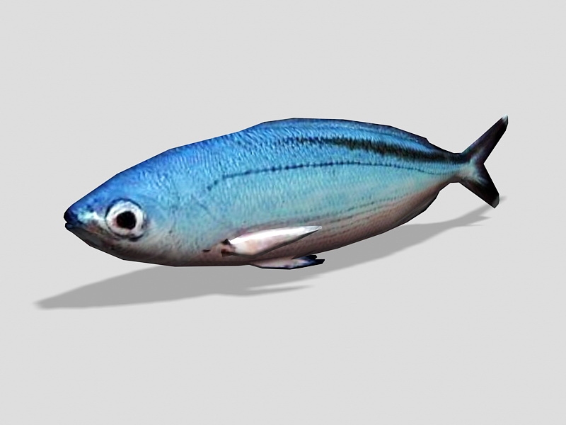 Animated Blue Fish Rigged 3d rendering