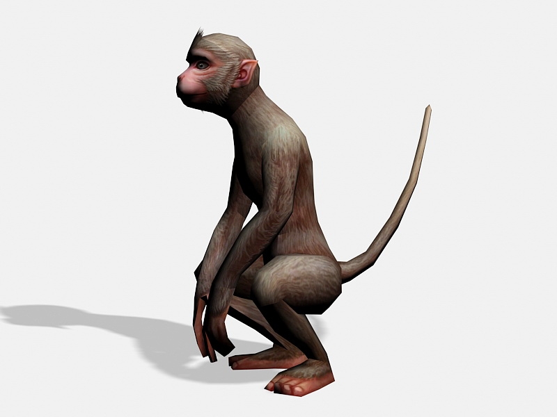 Beautiful Monkey 3d rendering