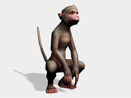 Beautiful Monkey 3d model preview